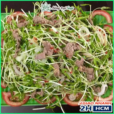 Hạt giống Rau Mầm Rau Muống Nảy Mầm Tốt, Nhanh Thu Hoạch (gói 100gr) - Nông Trại Sago