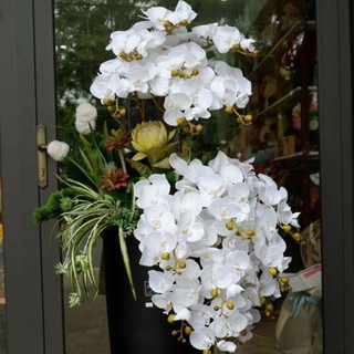 Hoa giả lan hồ điệp cao su 9bông đẹp