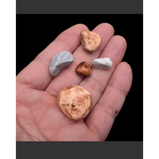 Khuôn Silicone Sỏi Viên Viên Sỏi 4D Sỏi Socola Vĩ 20 Viên