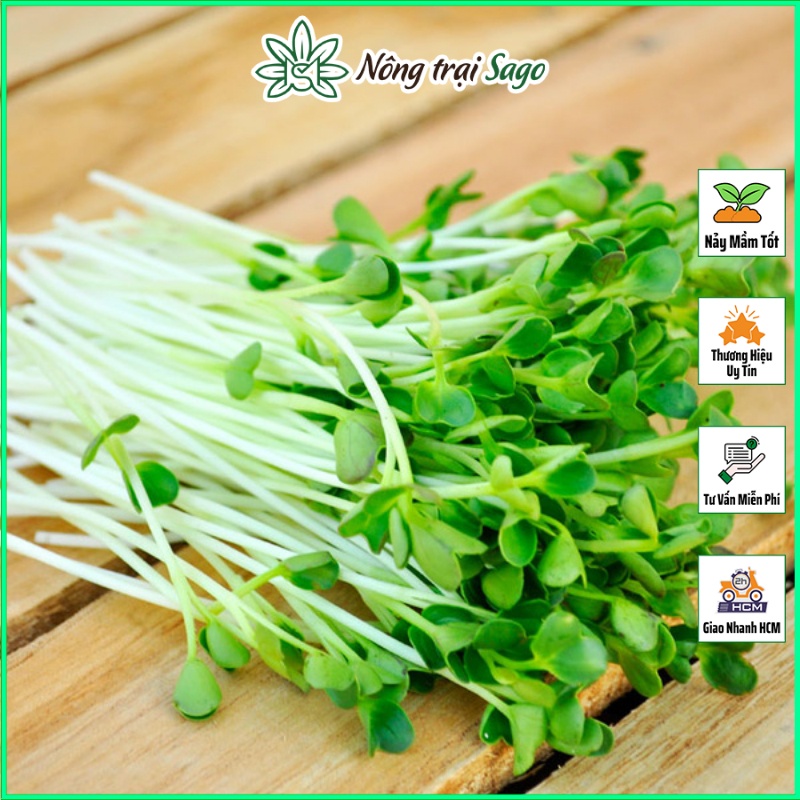 Hạt giống Rau Mầm Rau Muống Nảy Mầm Tốt, Nhanh Thu Hoạch (gói 100gr) - Nông Trại Sago