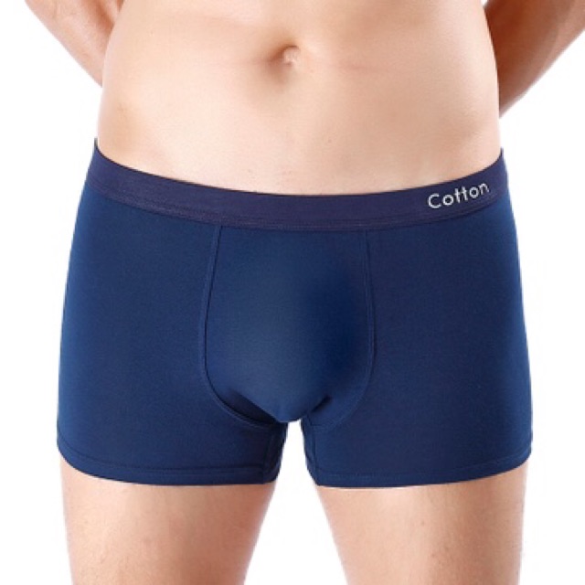 Boxer / Quần Lót Nam Cotton Co Giãn Bốn Chiều ( QL : 200 )