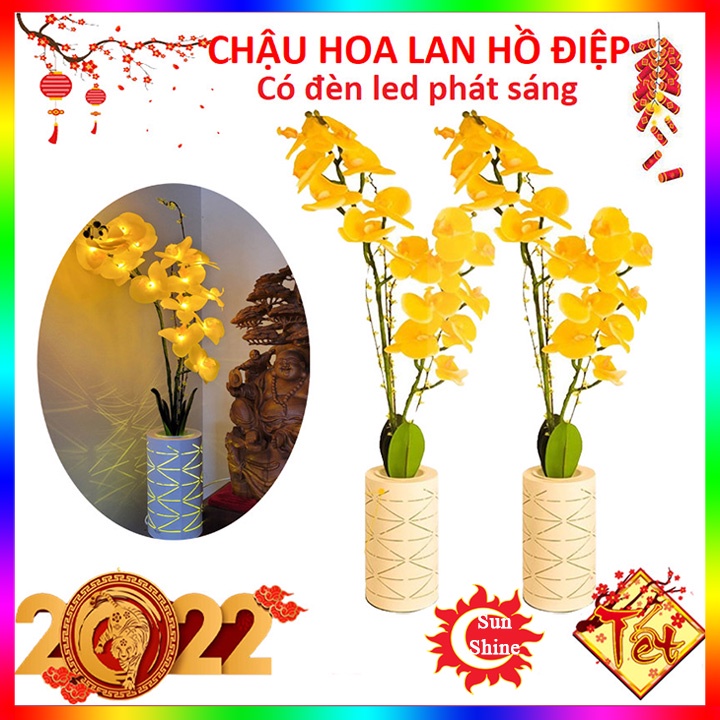hoa khô trang trí phòng khách , phòng ngủ , trang trí nơi làm việc , để bàn , làm quà tặng tết