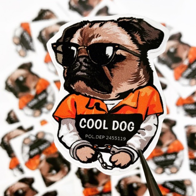 STICKER COOL DOG CÁ TÍNH DÁN TRANG TRÍ ĐIỆN THOẠI LAPTOP VALI MŨ BẢO HIỂM XE MÁY TỦ KỆ,...