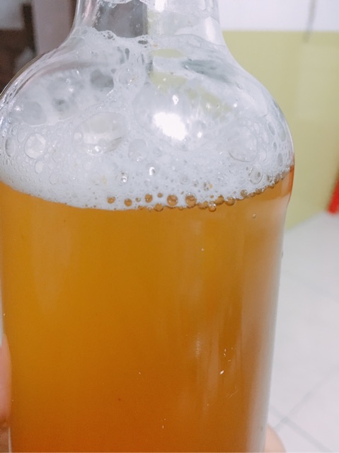 Trà Kombucha từ scoby- 980ml | BigBuy360 - bigbuy360.vn