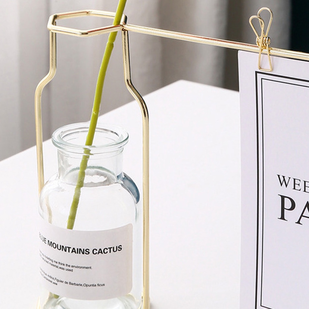 Khung ảnh nghệ thuật sắt bình thủy tinh cho quà tặng trang trí phòng khách