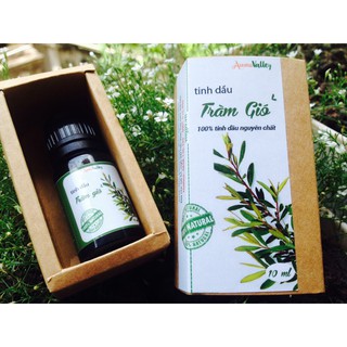 Tinh dầu tràm gió GPV