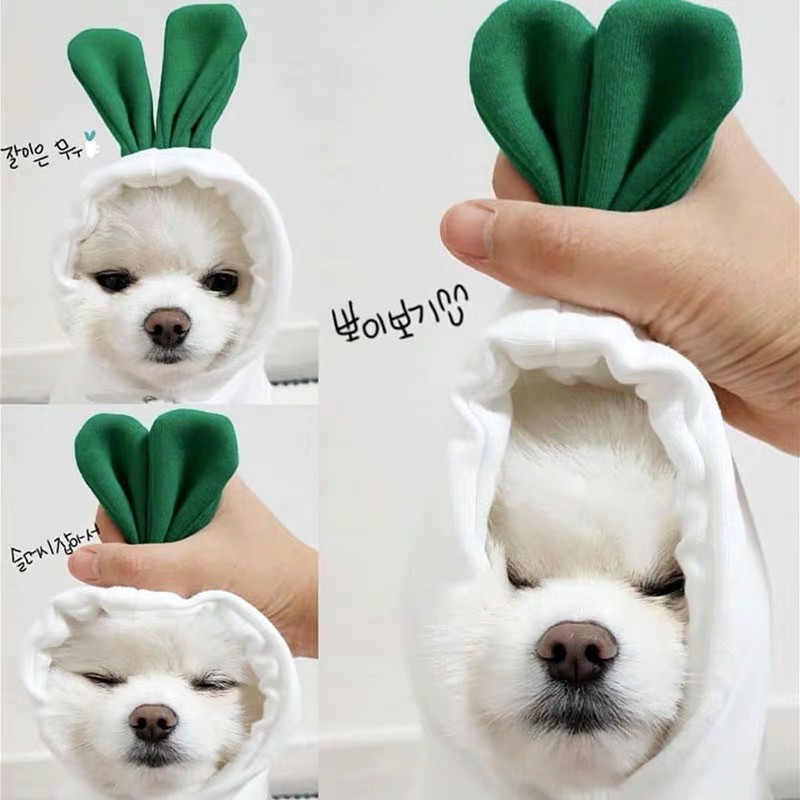 Áo nỉ hình củ cải cho chó mèo