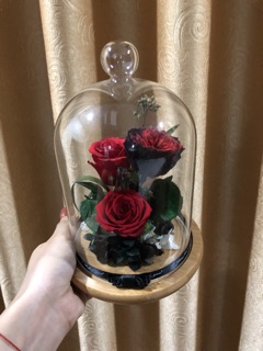 Hoa hồng vĩnh cửu