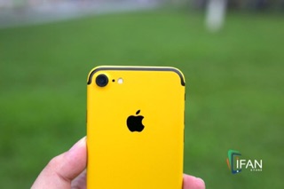 Skin Dán Iphone Màu Vàng
