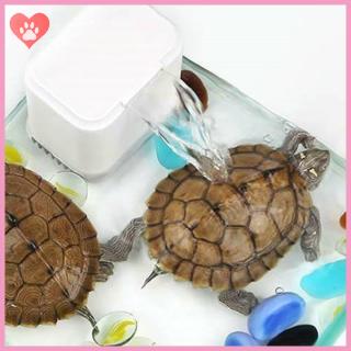 Máy lọc thác 3 trong 1 yên tĩnh cho bể nuôi rùa
