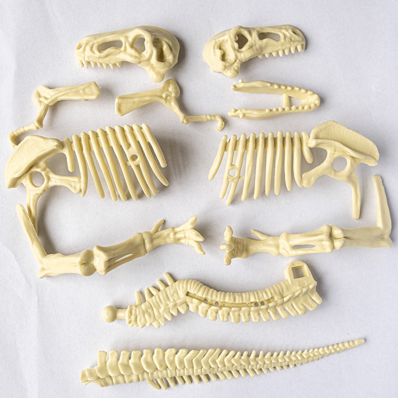 Đồ Chơi Đào Hóa Thạch Khủng Long Khảo Cổ Học Đi Tìm Xương Kho Báu Treasue X Cục Vàng Làm Vòng Tay Cho Bé Giá Rẻ Nhất