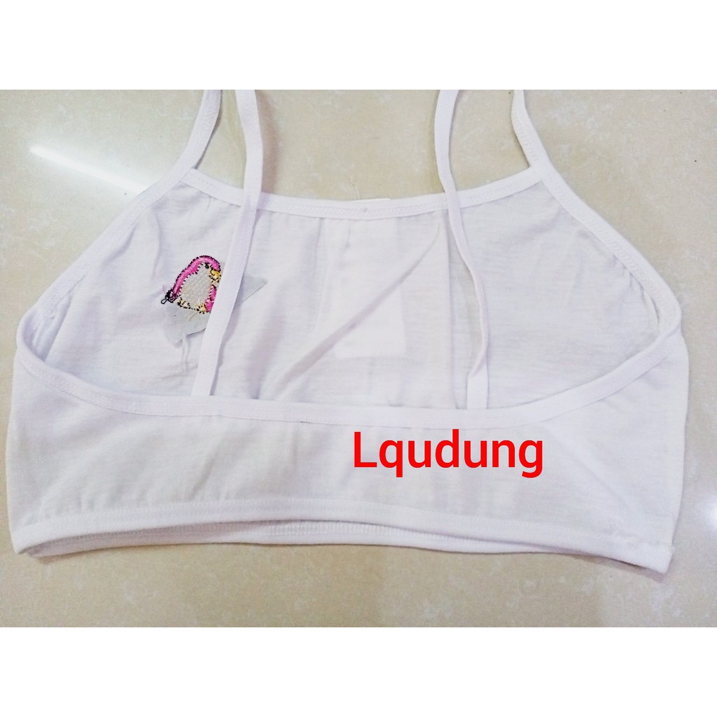 Bra/ Áo Lá Cho Bé Gái Tuổi Dậy Thì | BigBuy360 - bigbuy360.vn