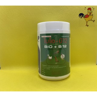 Phòng bệnh, úm gà bio - b12 hủ