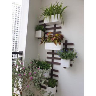 chậu hoa composite chống nước vuông