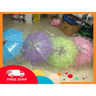 Combo 5 ô dù trong suốt 3D