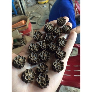 Charm Sen Trầm Hương Sánh chìm thơm nhẹ dịu