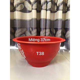 Chậu nhựa trồng cây 2 cái T38 đỏ gạch dày dặn