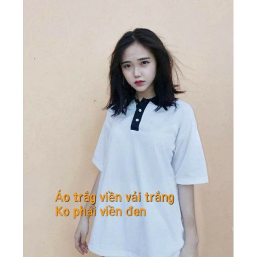 ÁO THUN POLO TRƠN UNISEX MIX CỔ