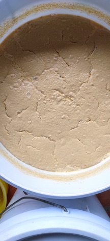 Phân trứng sữa