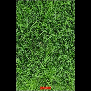 Thảm chụp ảnh 3d 20000