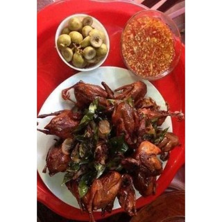 Chim Cút tẩm ướp lá móc mật