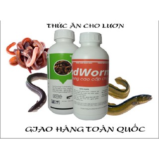 DỊCH TRÙN QUẾ SIỆU ĐẬM ĐẶC CHO LƯƠN CÁ (THÙNG 2 CHAI 1L)