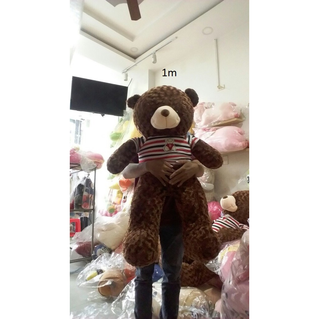 Gấu Teddy size 1m2 ( cao 1m) to cân đối, không kéo dài chân