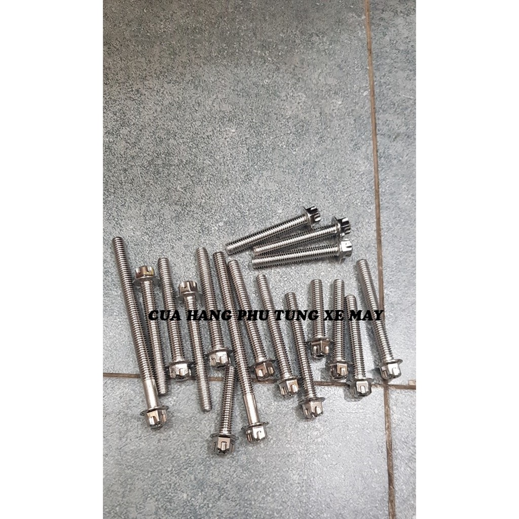 Bộ ốc lốc máy Wave nhỏ hàng SALAYA (16 con)
