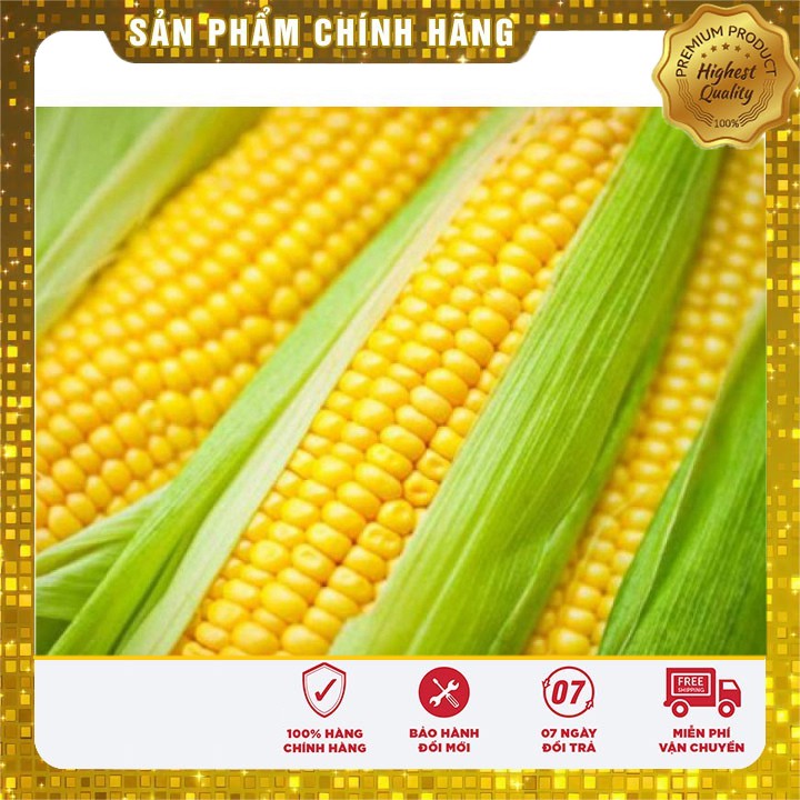 Hạt giống ngô ngọt vàng thơm ngọt-5 gr