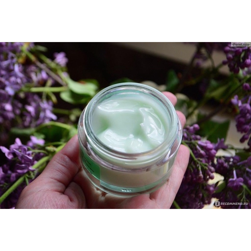 Kem Dưỡng Trà Xanh Tràm Trà Bielenda dành cho da dầu mụn 50ml
