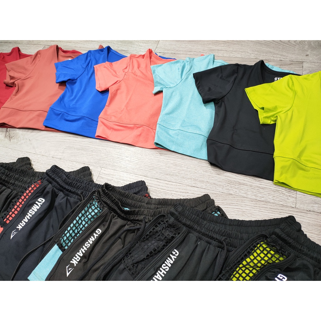 Đồ tập gym nữ, set bộ đùi thể thao áo crop quần đùi 2 lớp Bin Sports BN074