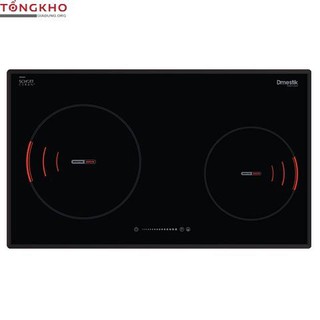 Bếp từ D'mestik ES899 DKI