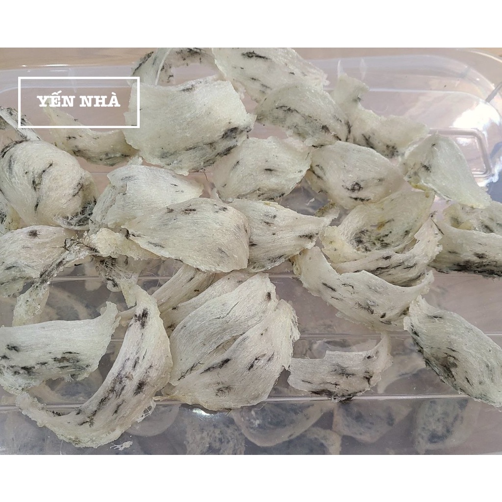 Tổ yến sào thô bể nguyên chất, ít lông - Yến Sào Yến Nhà