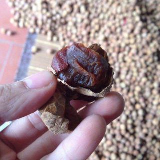 Sỉ vải sấy 5kg