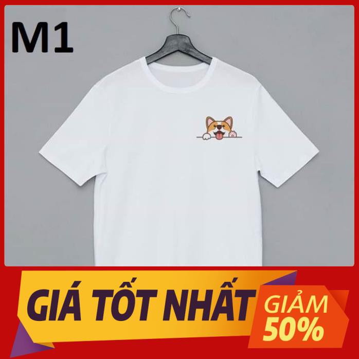 [MỚI VỀ] Áo Phông Trắng Đơn Giản Vải Đẹp Mặc Cực Mát Đủ Size Cho Nam Và Nữ