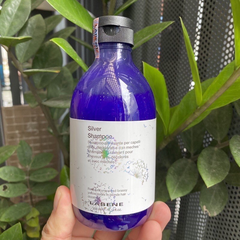 🌾Best Seller🎋Dầu gội tím GIỮ MÀU & KHỬ VÀNG cho tóc bạch kim Silver Shampoo LABENE  300ml