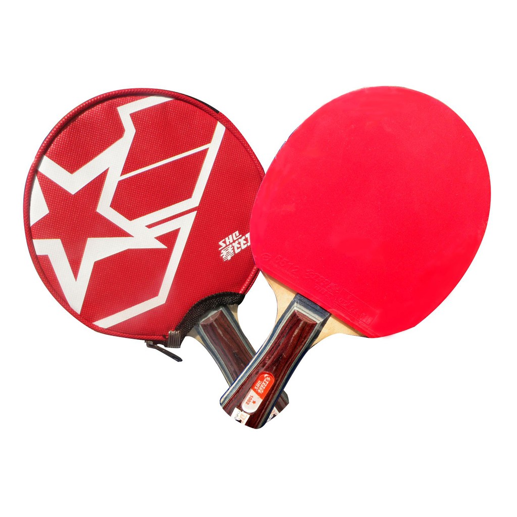Vợt Bóng Bàn DHS 1002