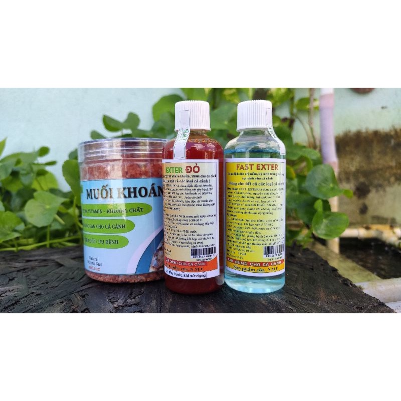 Combo Exter Đỏ, Fast Exter và Muối khoáng cá cảnh