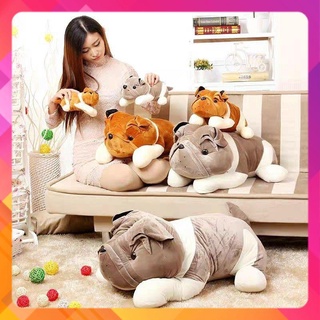 Gấu bông Chó PUL Mặt Xệ size 35cm