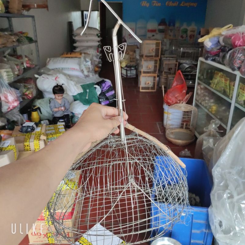 Lồng bẫy chào mào inox 2 mặt hình quả đào , lồng bẫy chim các loại siêu nhạy , loại mới fom đẹp