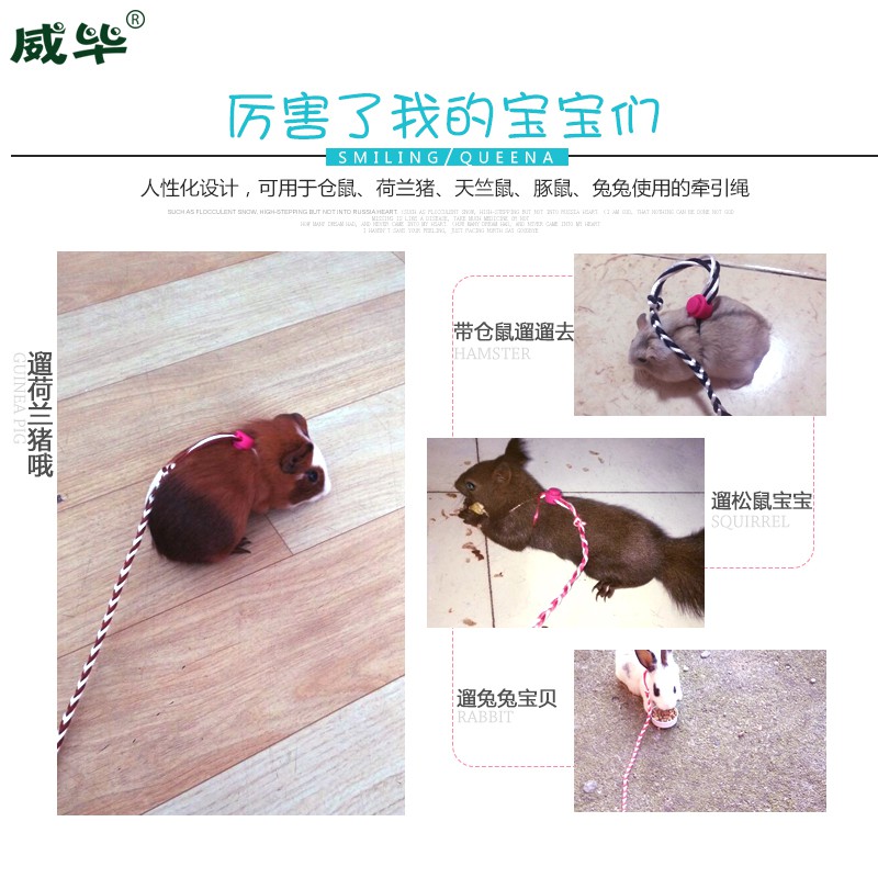 dây dắt hamster - sóc - thỏ - bọ bằng vải