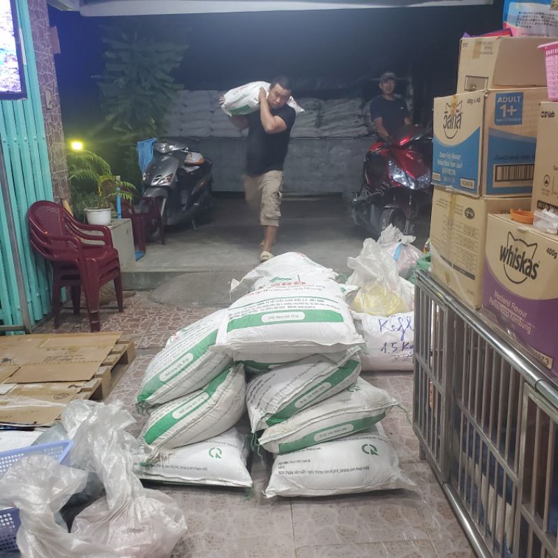 Cát mèo giá rẻ