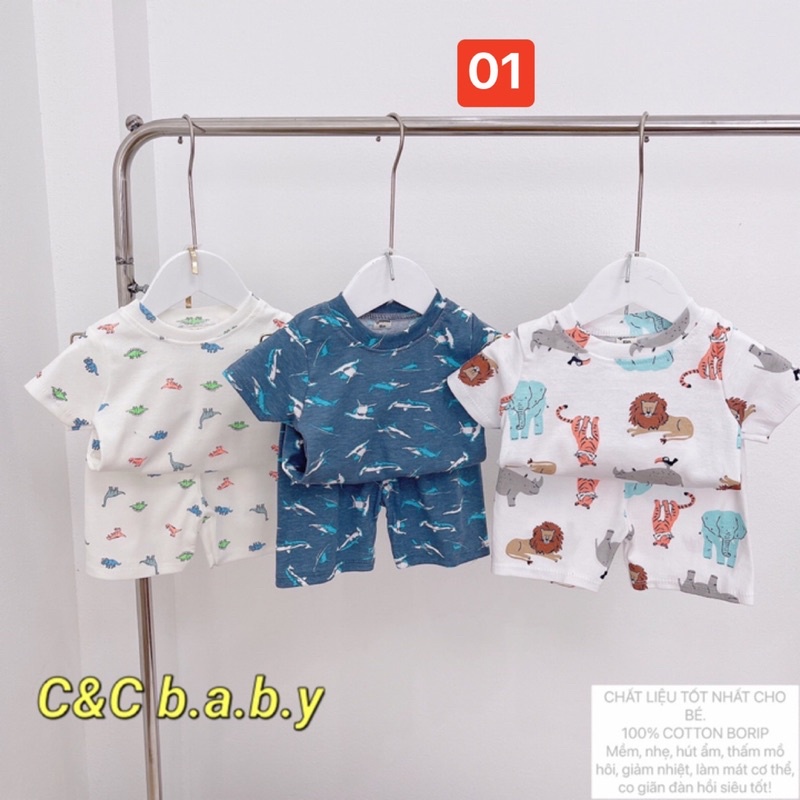 Set 3 bộ short cotton họa tiết khủng long-cá heo bé trai-MS92