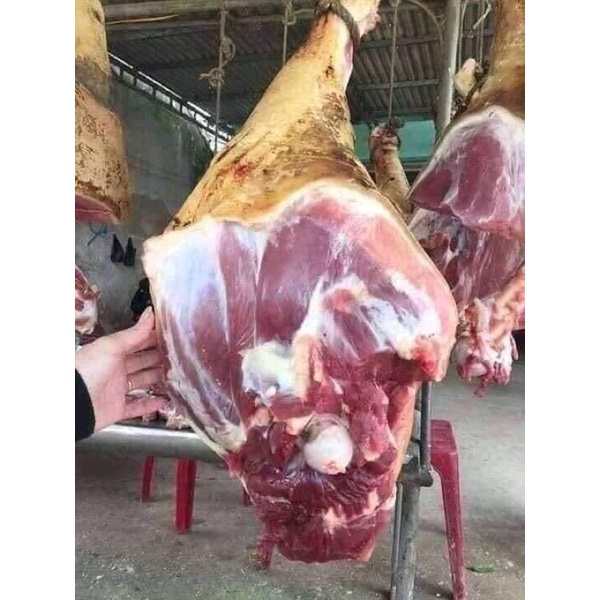 Thịt nai gác bếp Tây Bắc bao ngon chuẩn vị tặng Chẩm chéo | BigBuy360 - bigbuy360.vn