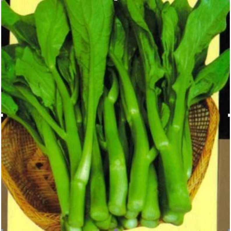 Gói Cải Ngồng SIÊU MẬP ( Chất Lượng Cao )