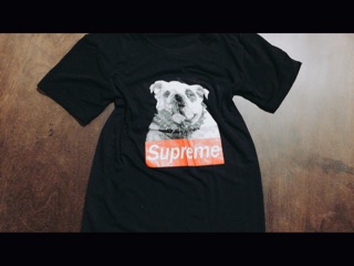 Áo supreme chó bug