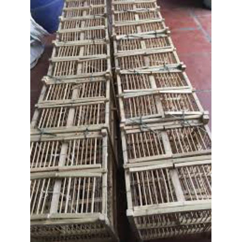 Lồng Bẫy Khuyên tre giá rẻ 2 cửa 25x25x35- lồng bẫy chim sẻ giá rẻ