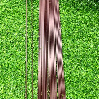10 que cắm lan hồ điệp nâu dài 1m