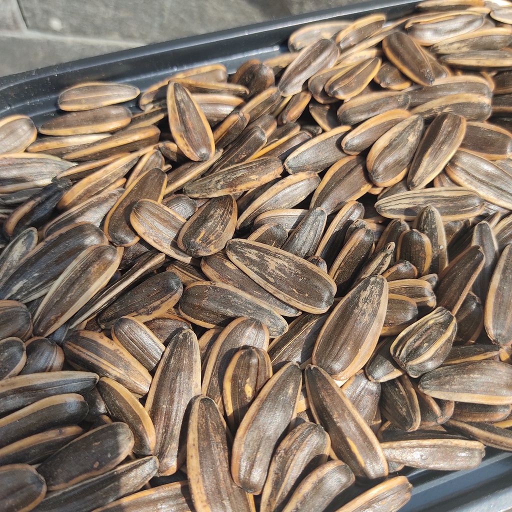 500Gr Hướng Dương Tẩm Vị Dừa