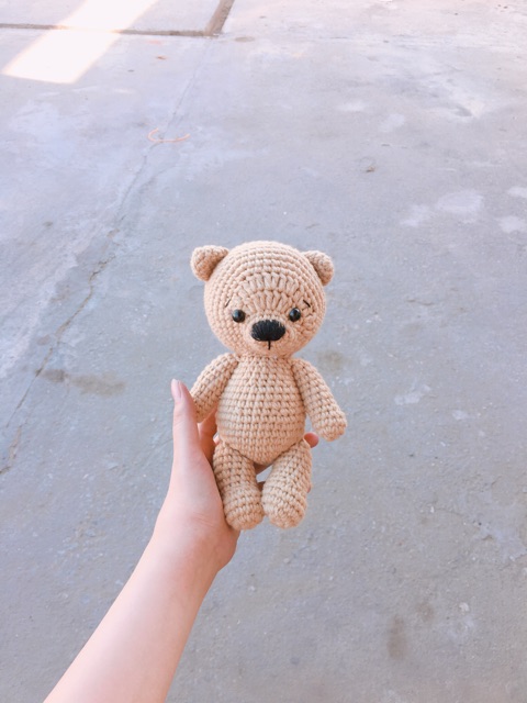 Chú gấu teddy nhỏ